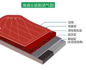 透气型塑胶跑道分层图